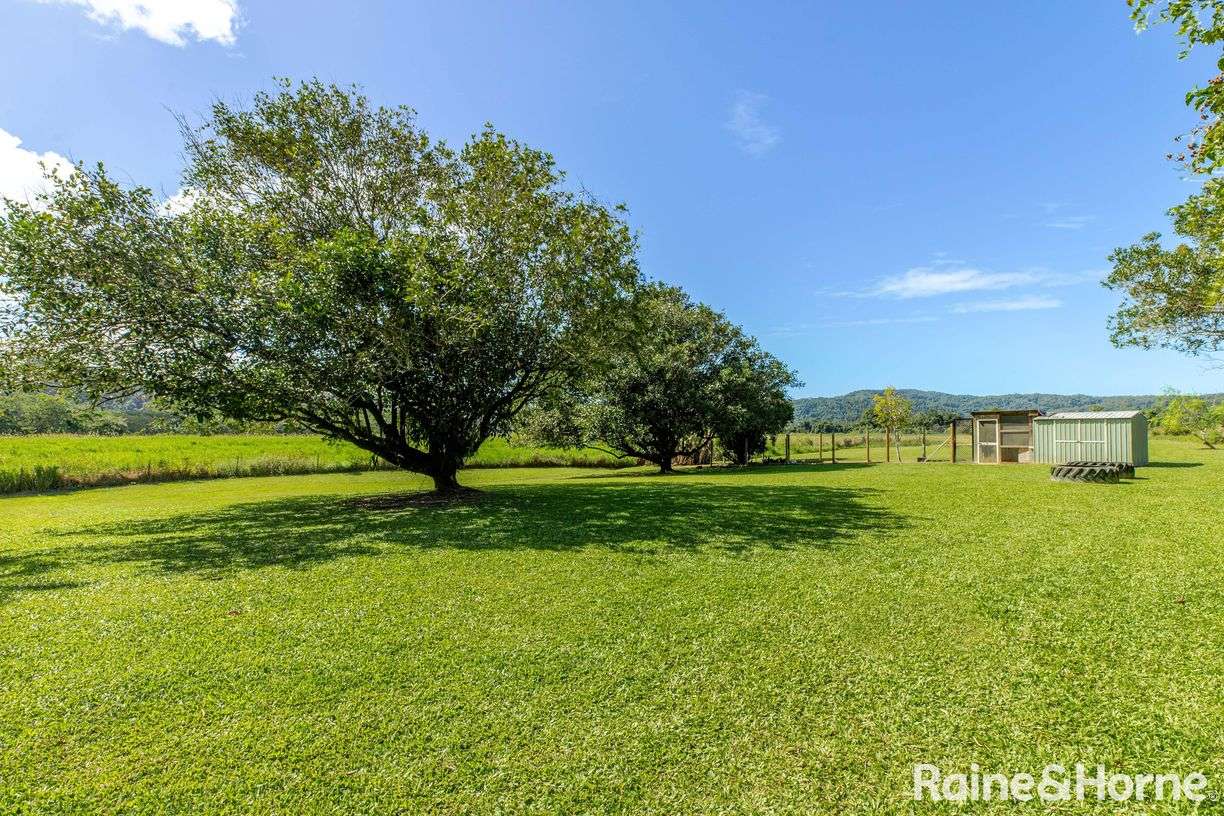 445 Miallo Bamboo Creek Road — photo 17 of 27