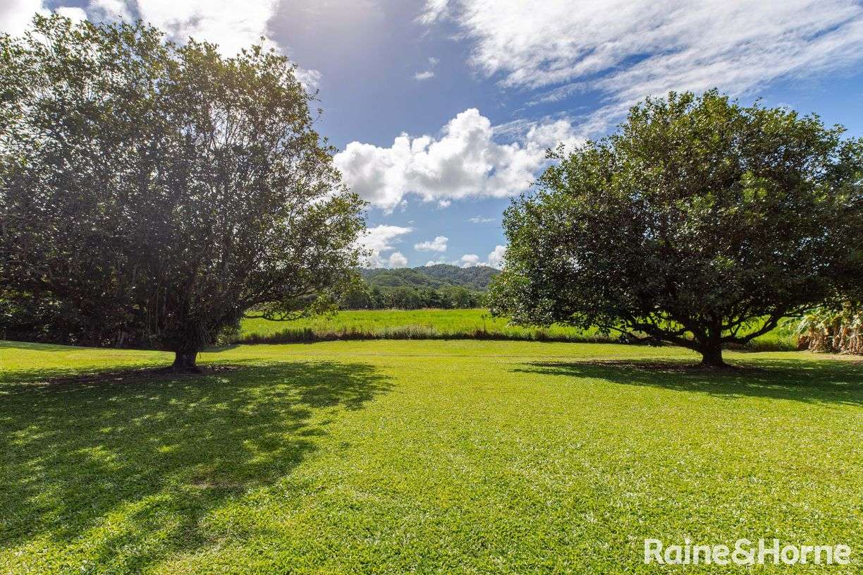 445 Miallo Bamboo Creek Road — photo 18 of 27