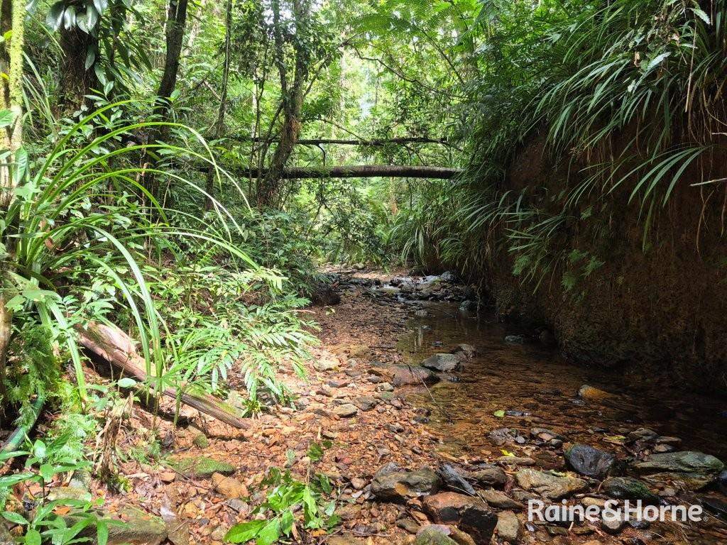 7 Fig Tree Road — photo 8 of 24