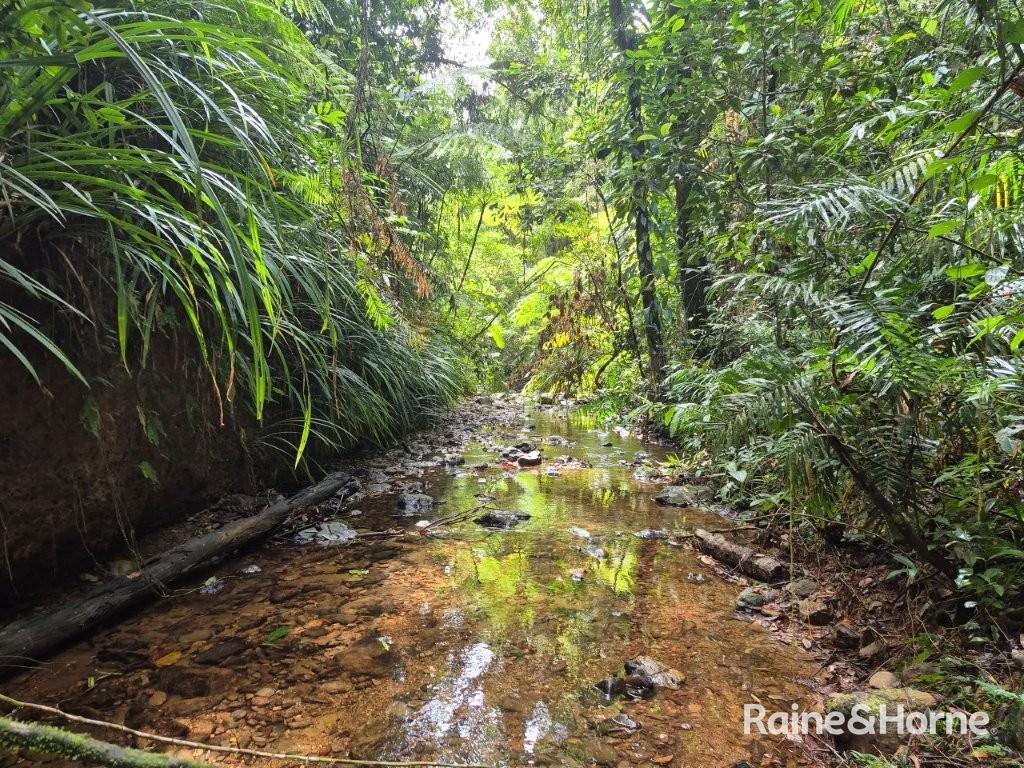 7 Fig Tree Road — photo 9 of 24