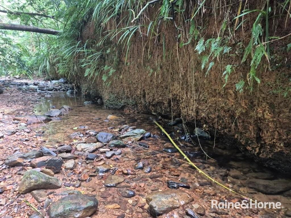 7 Fig Tree Road — photo 10 of 24