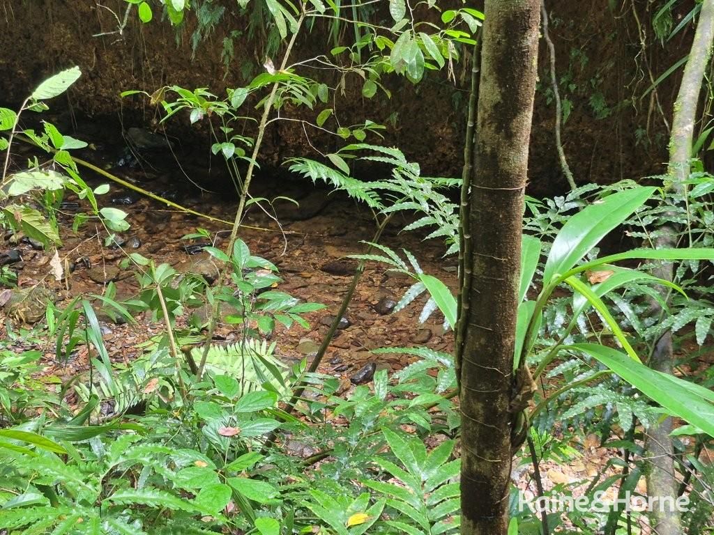 7 Fig Tree Road — photo 12 of 24