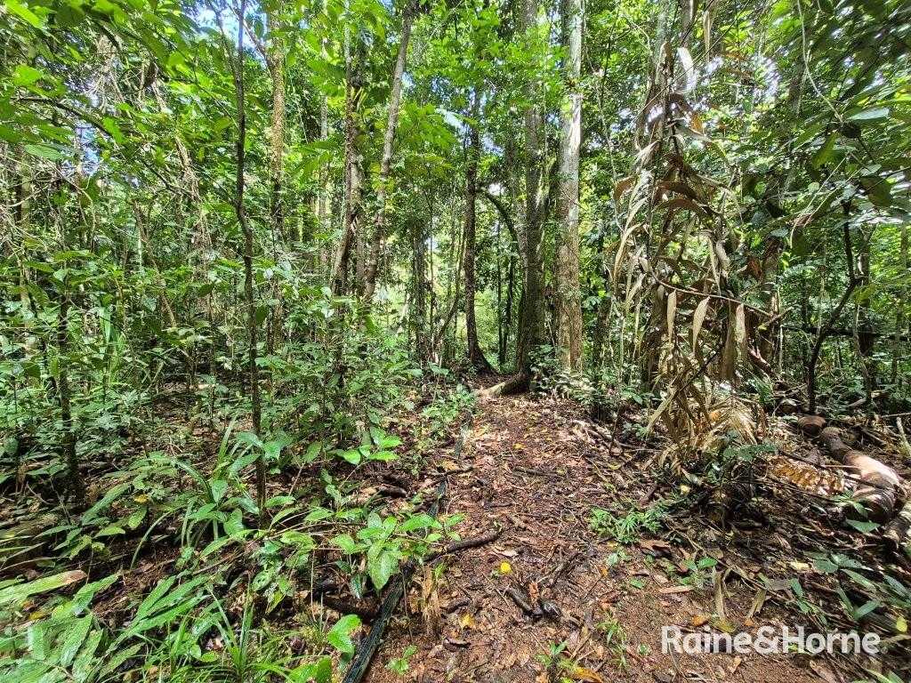 7 Fig Tree Road — photo 19 of 24
