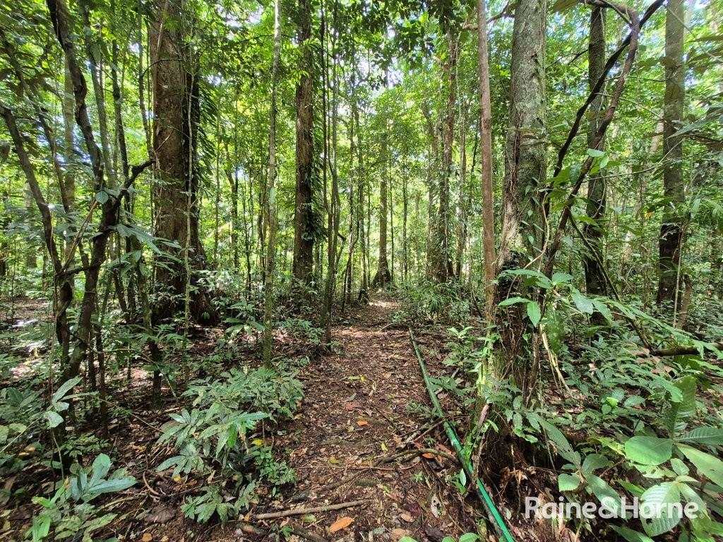 7 Fig Tree Road — photo 21 of 24