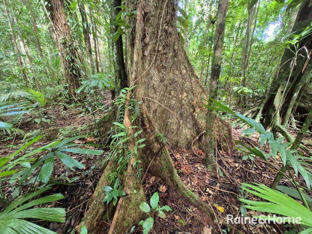 7 Fig Tree Road — photo 20 of 24