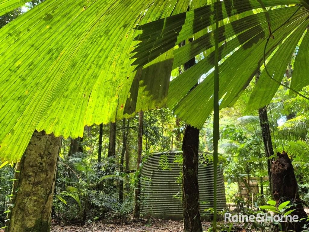 7 Fig Tree Road — photo 7 of 24