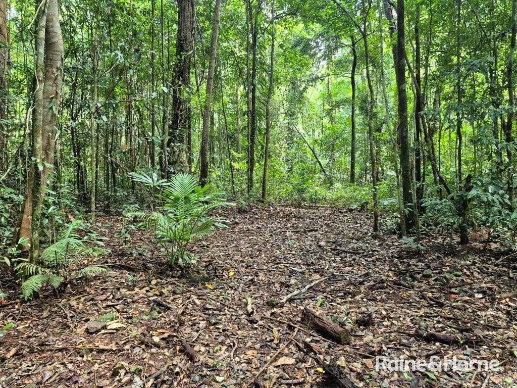 7 Fig Tree Road — photo 18 of 24