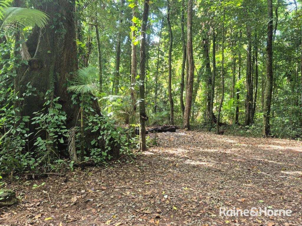 7 Fig Tree Road — photo 15 of 24