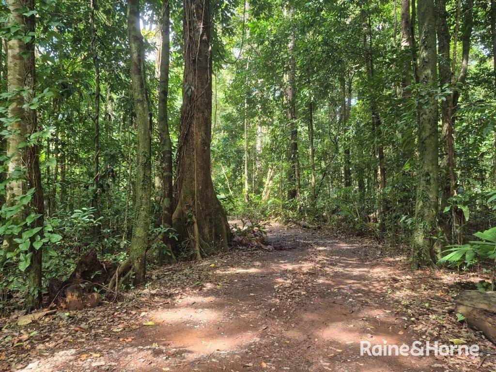 7 Fig Tree Road — photo 14 of 24