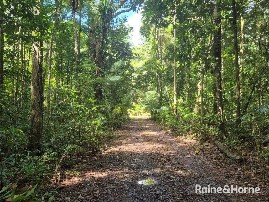 7 Fig Tree Road — photo 3 of 24