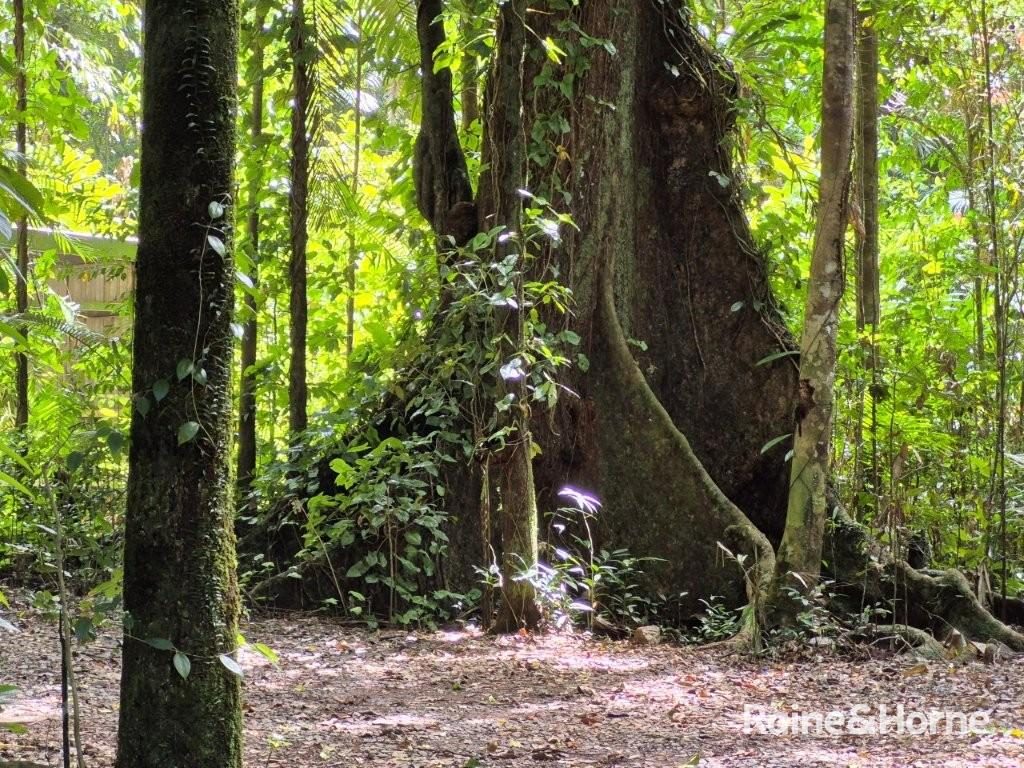 7 Fig Tree Road — photo 13 of 24
