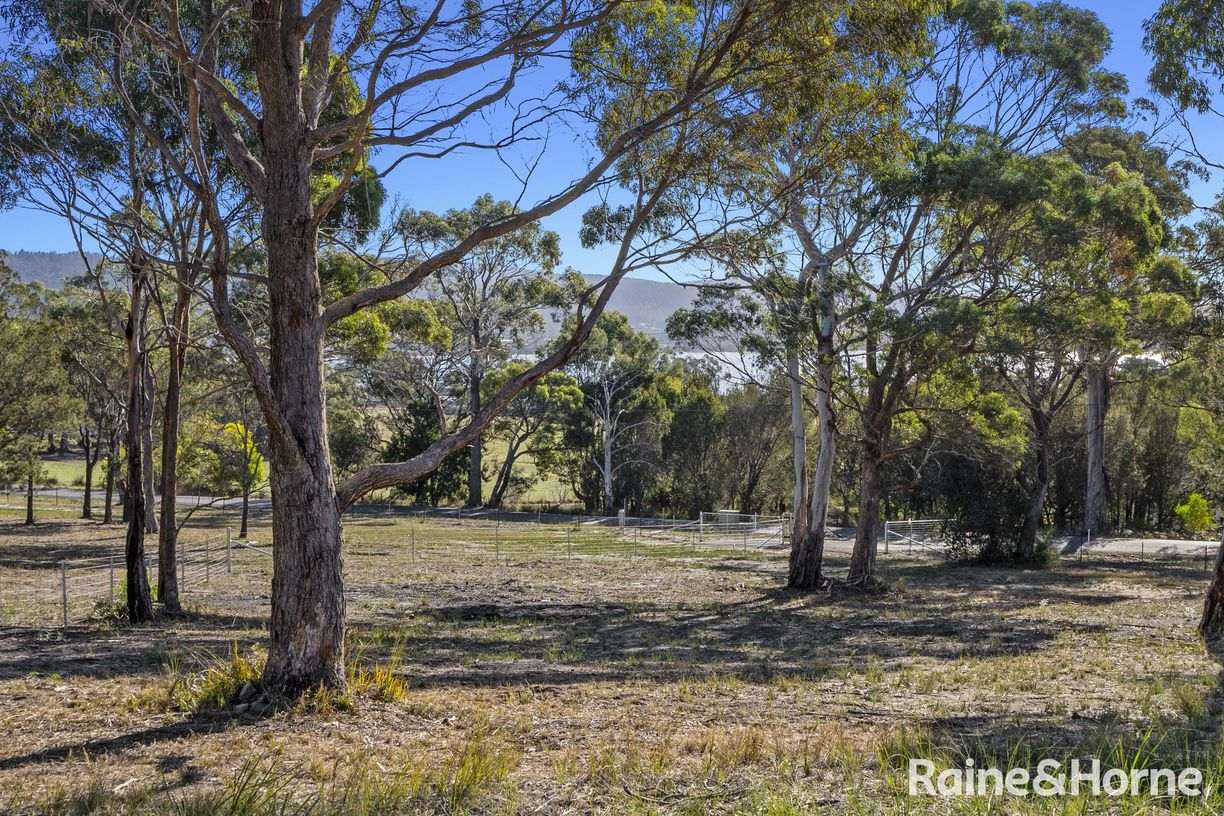 220 Rheban Road — photo 9 of 16