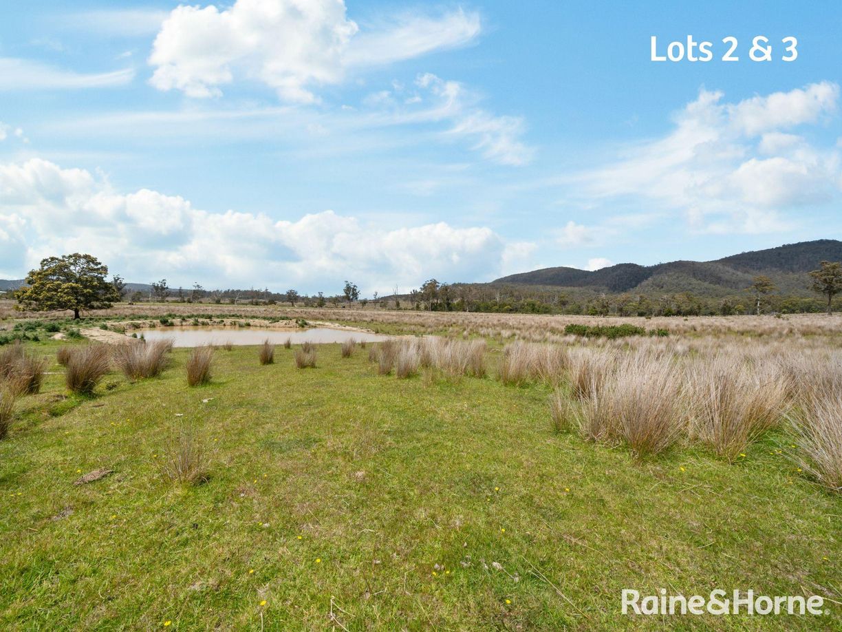 Lots 2 & 3 Rosedale Road — photo 16 of 22
