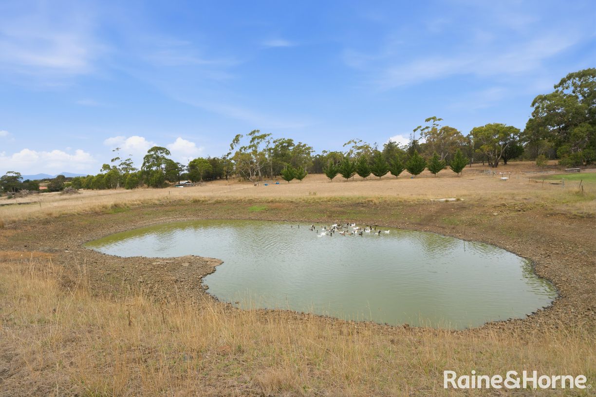 13150 Tasman Highway — photo 25 of 30