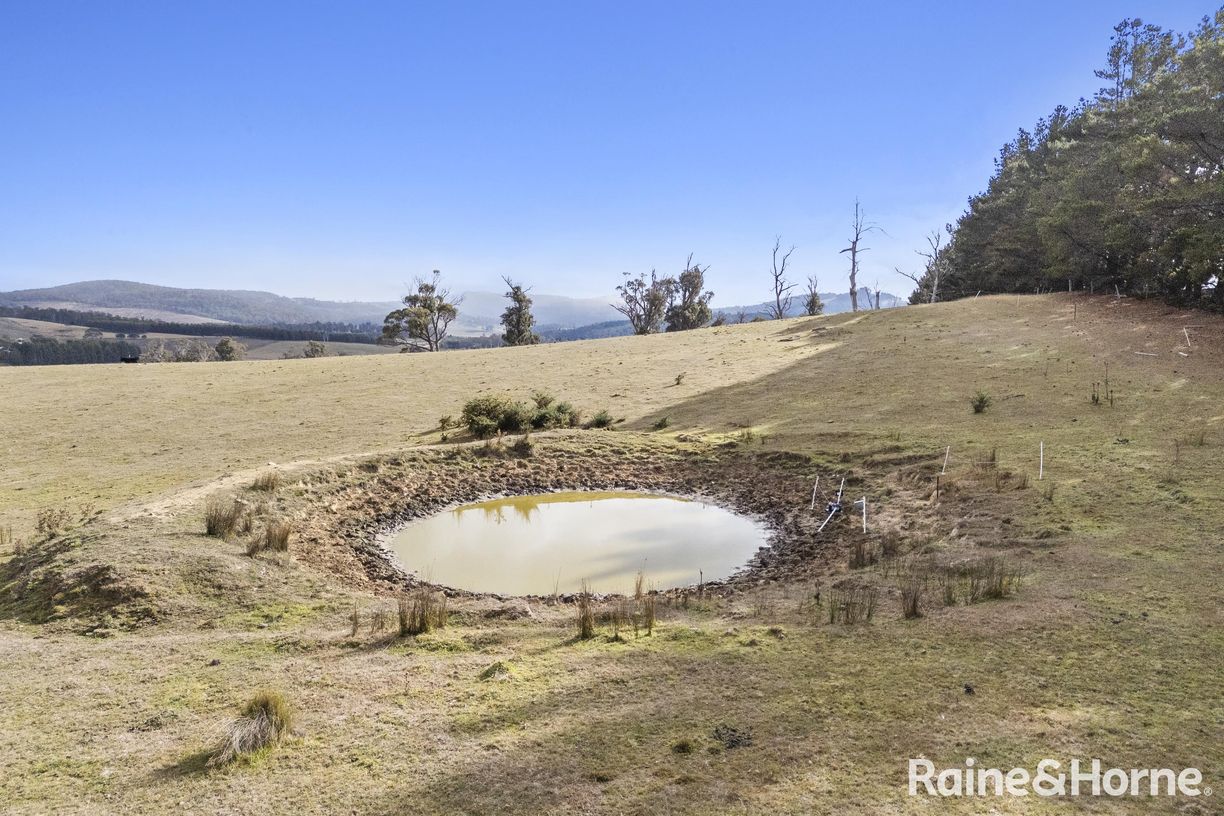 Lot 1 Stonehenge Road — photo 2 of 15