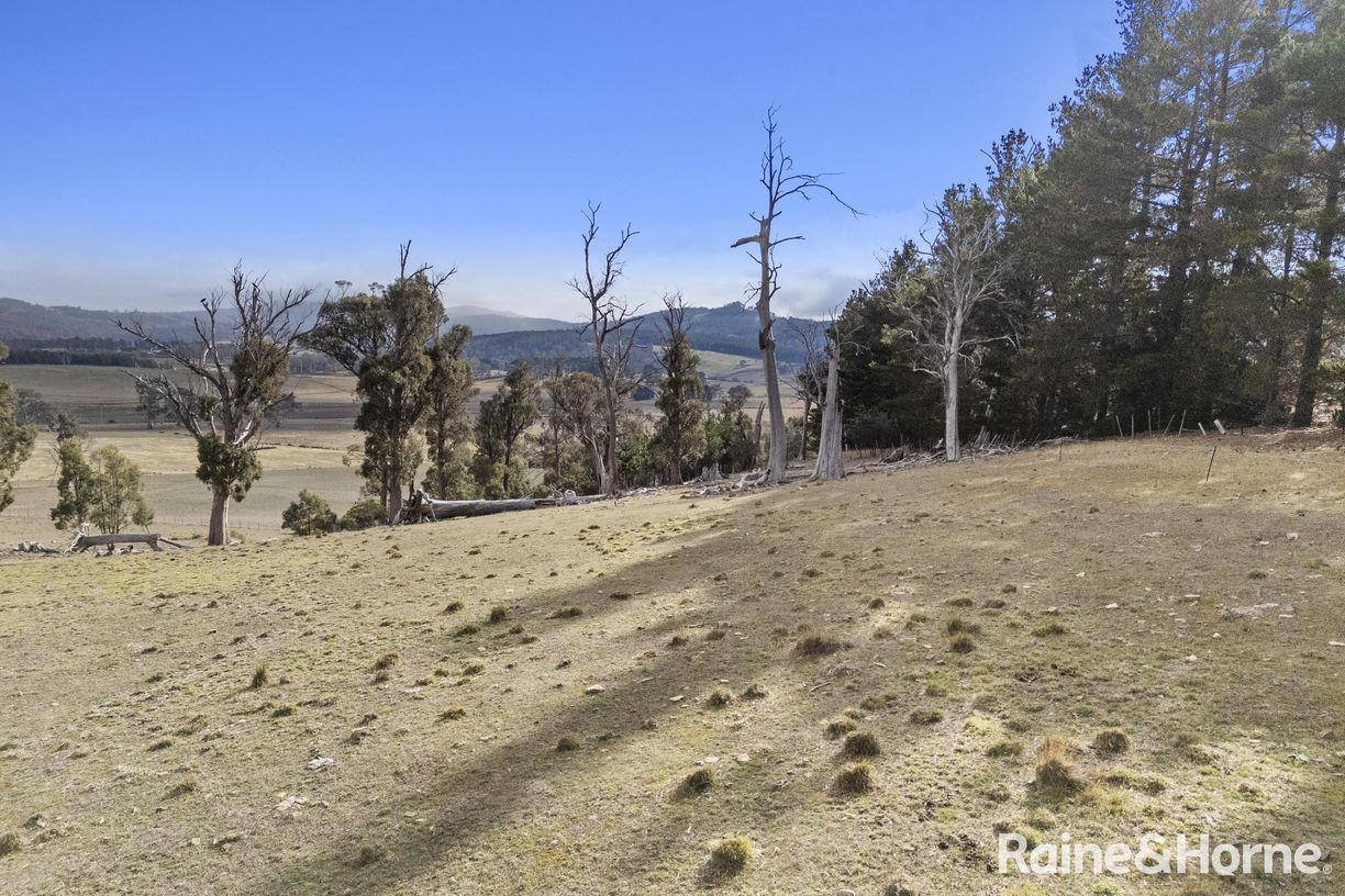 Lot 1 Stonehenge Road — photo from Raine & Horne Sorell