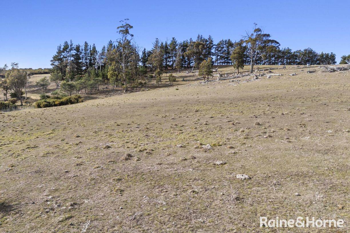 Lot 1 Stonehenge Road — photo 4 of 15