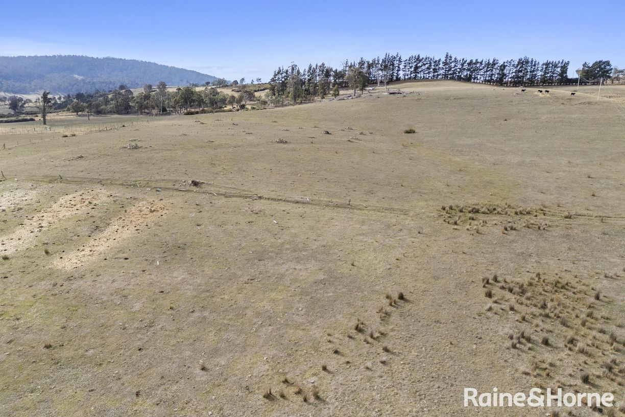 Lot 1 Stonehenge Road — photo 6 of 15