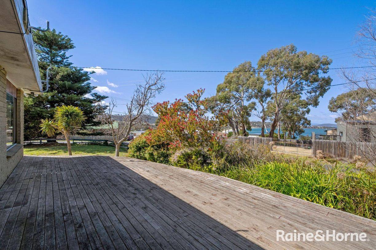 12 Falcon Street — photo 4 of 30