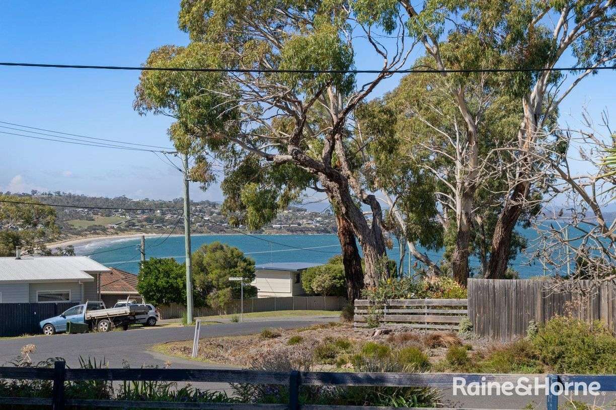 12 Falcon Street — photo 3 of 30