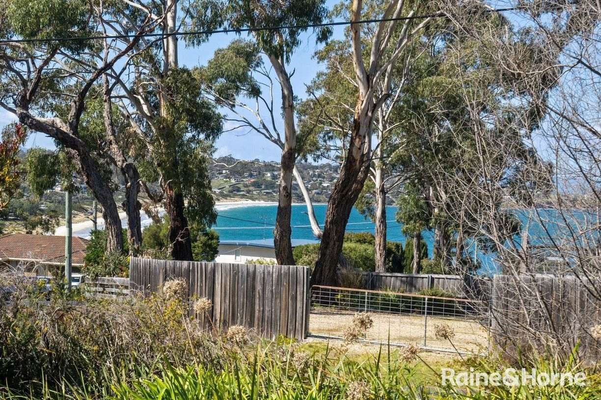 12 Falcon Street — photo 16 of 30