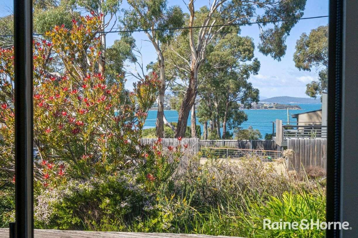 12 Falcon Street — photo 18 of 30