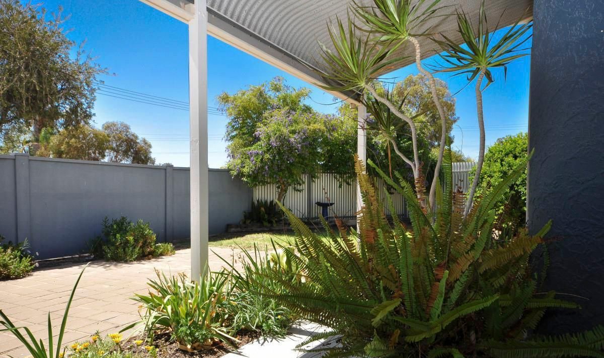 3 Moyes Street — photo 3 of 14