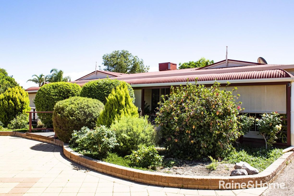 19 Kanyaka Avenue — photo 3 of 24