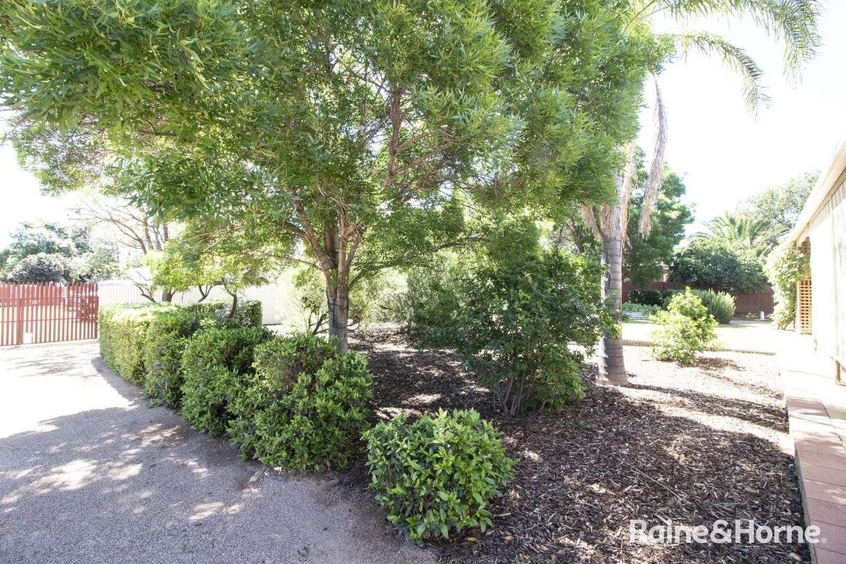 19 Kanyaka Avenue — photo 22 of 24
