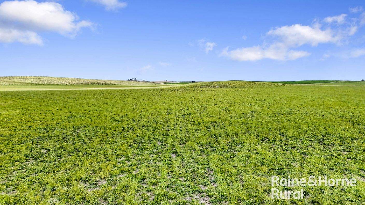 4910 Mallee Highway — photo 12 of 30