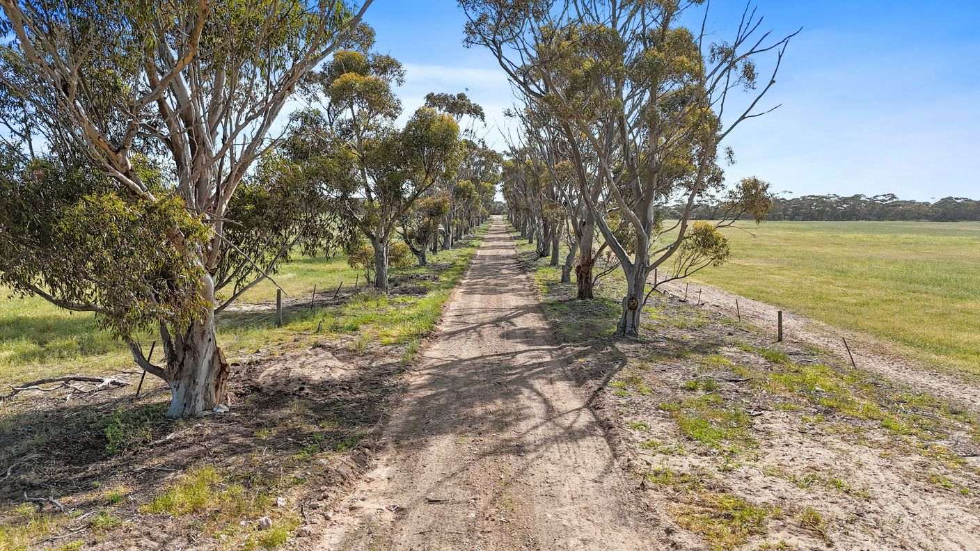 4910 Mallee Highway — photo 8 of 30