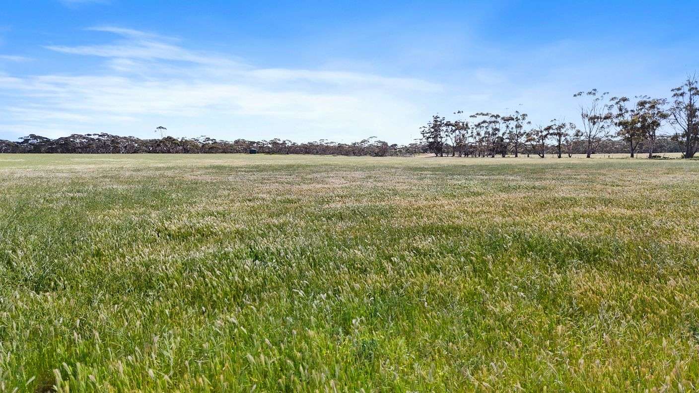 4910 Mallee Highway — photo 13 of 30