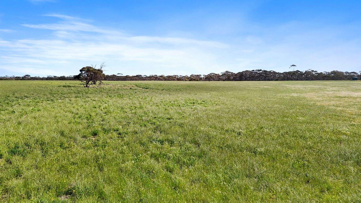 4910 Mallee Highway — photo 10 of 30