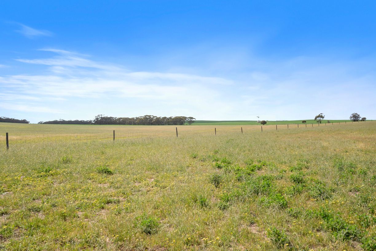 4910 Mallee Highway — photo 20 of 30
