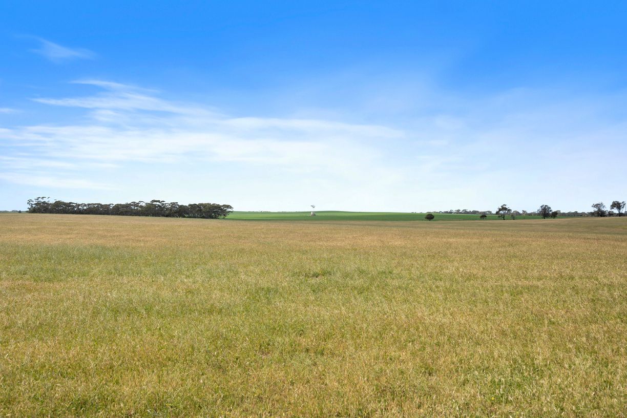 4910 Mallee Highway — photo 24 of 30
