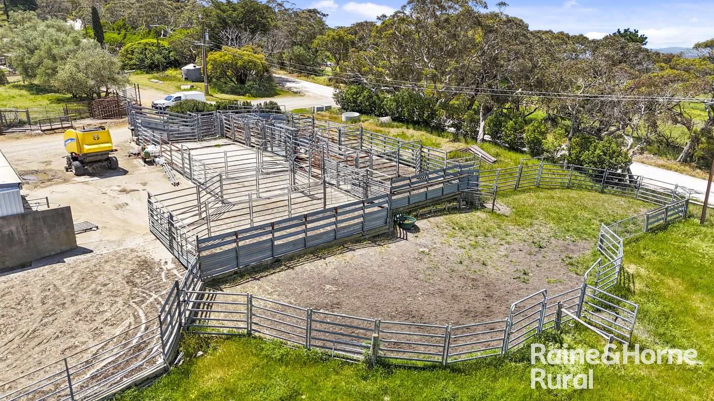 433 James Track — photo 6 of 30