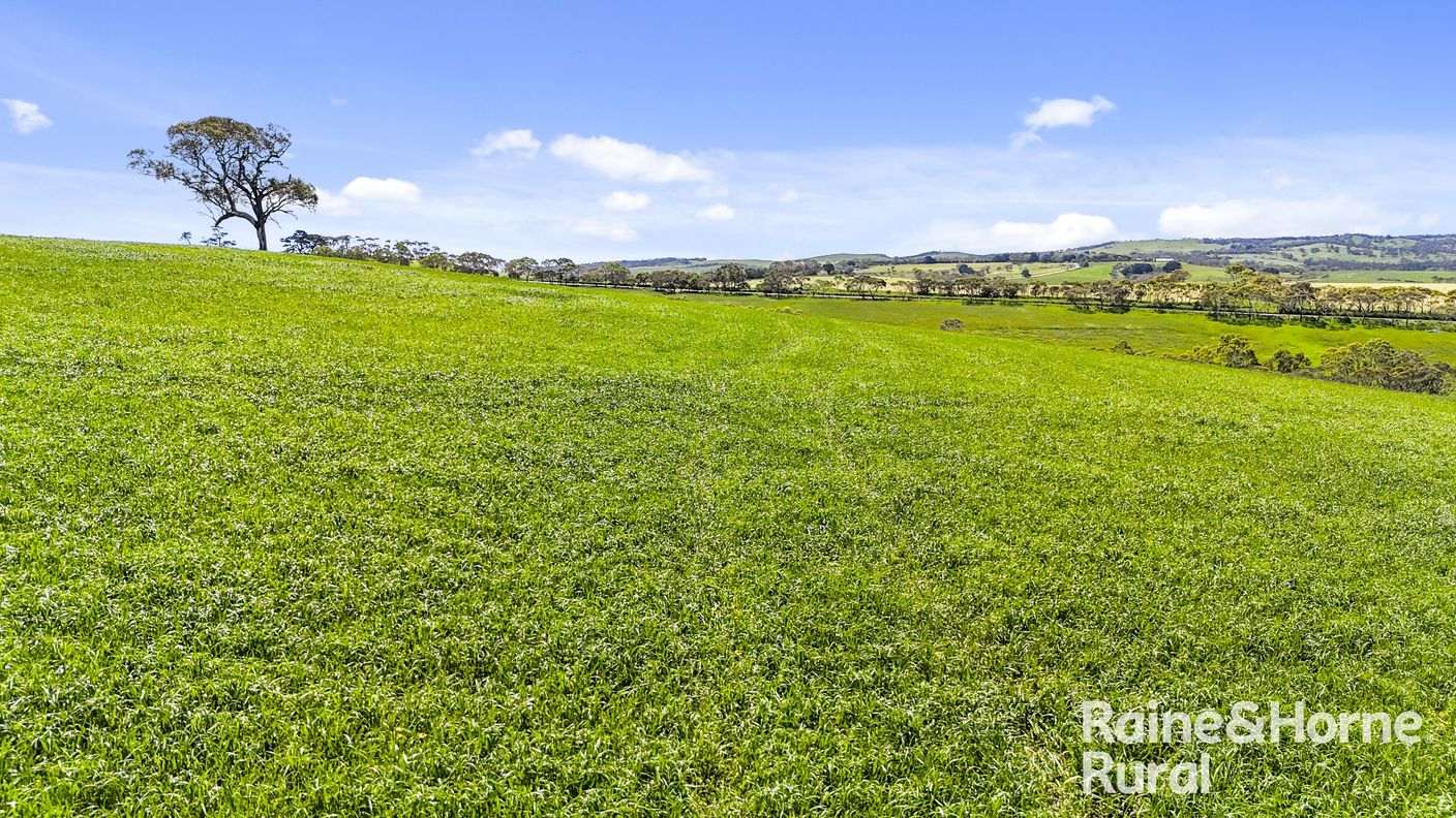 25 Nosworthy Road — photo 17 of 29