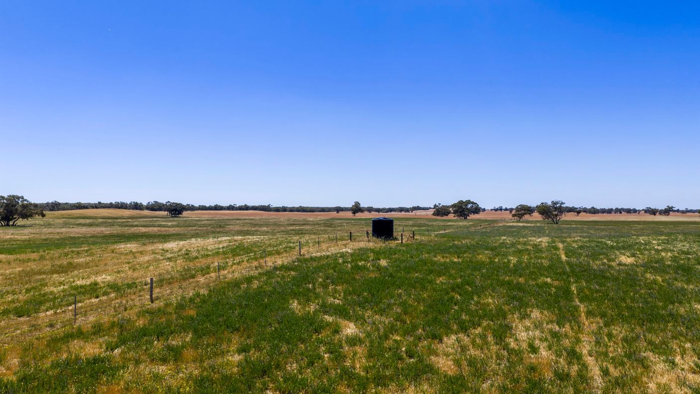 1695 Emu Flat Road — photo 14 of 30