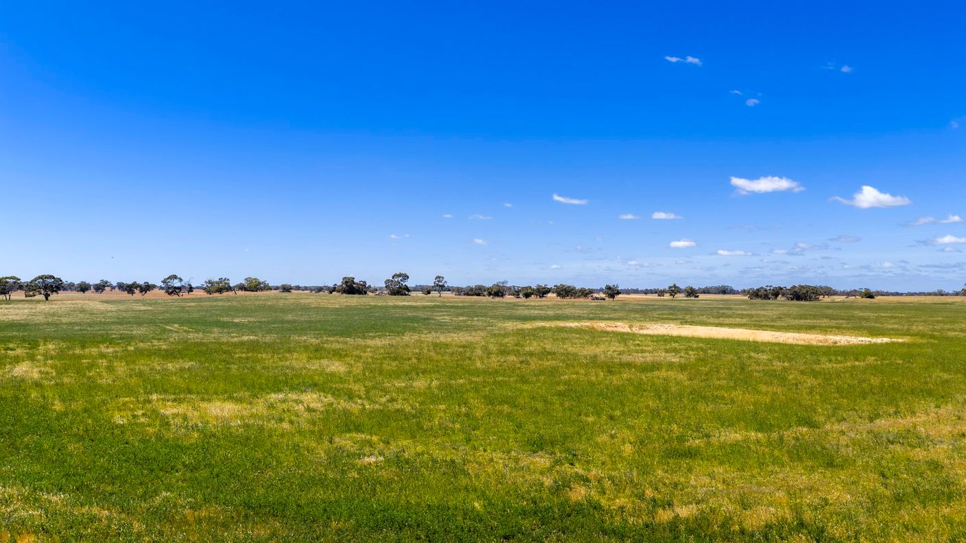 1695 Emu Flat Road — photo 15 of 30
