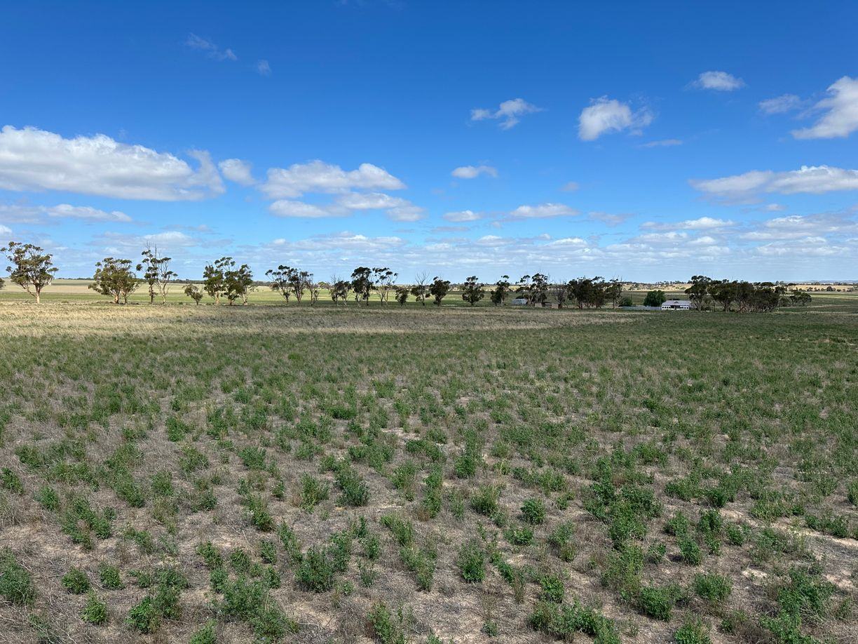 4910 Mallee Highway — photo 2 of 30