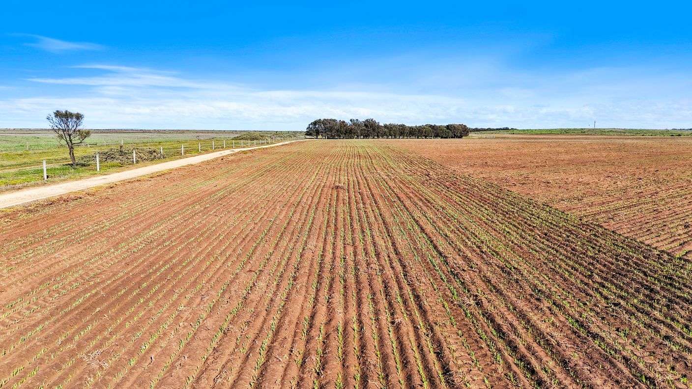 Lot 1 Tolderol Road — photo 4 of 15