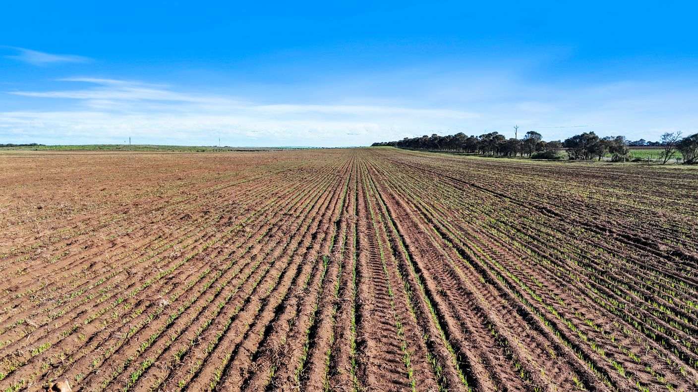 Lot 1 Tolderol Road — photo 5 of 15