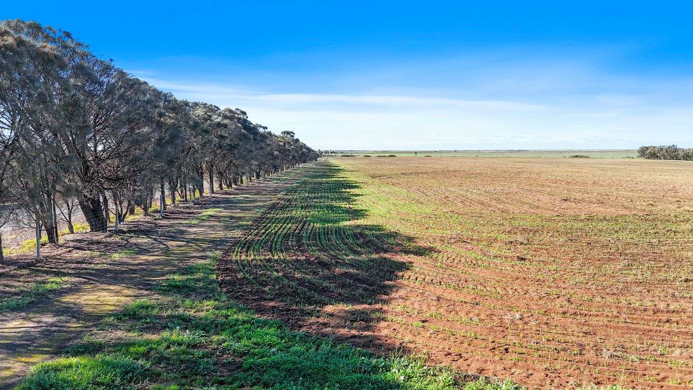 Lot 1 Tolderol Road — photo 8 of 15