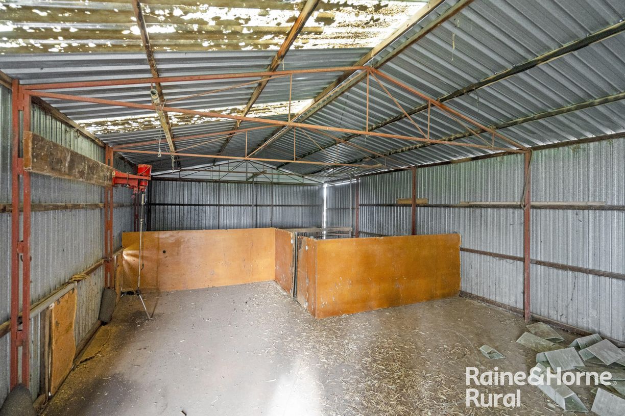 341 Wiles Firetrack — photo 19 of 30