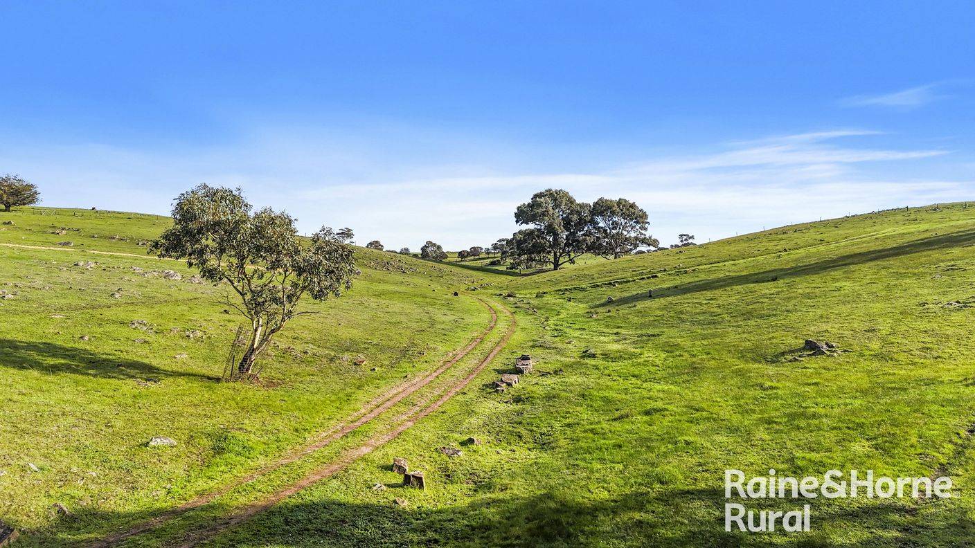 341 Wiles Firetrack — photo 15 of 30