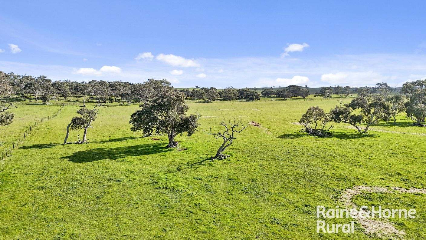 555 Mail Bridge Road — photo 23 of 30