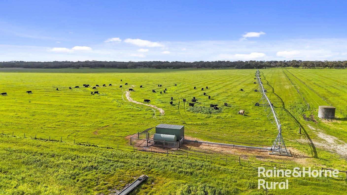 556 Mail Bridge Road — photo from Raine & Horne Hills & Fleurieu RLA 316138