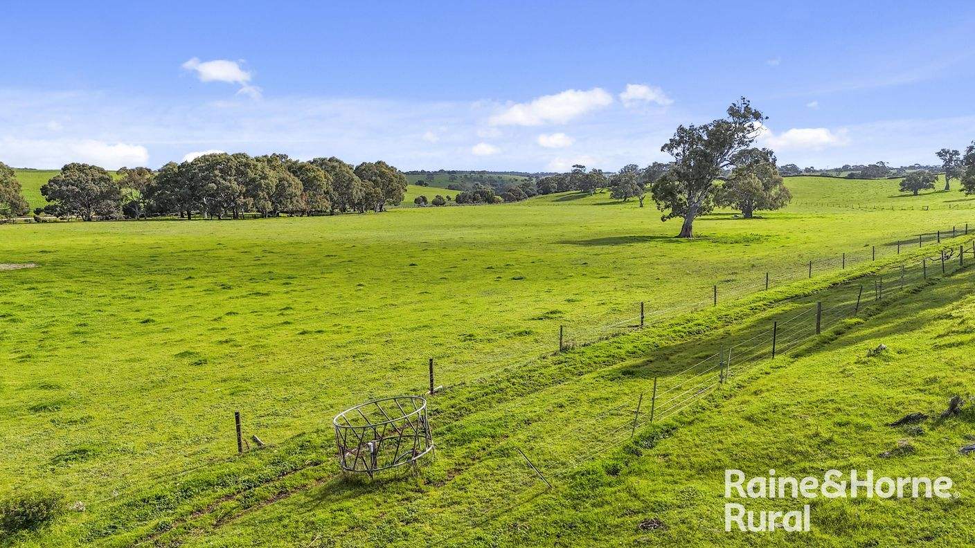 48 Mine Flat Road — photo 16 of 30