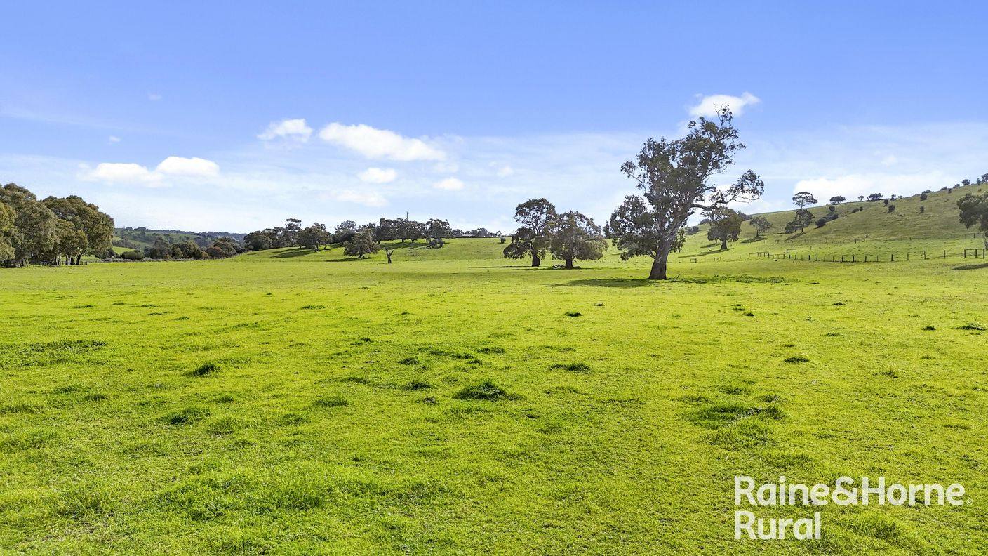 48 Mine Flat Road — photo 17 of 30