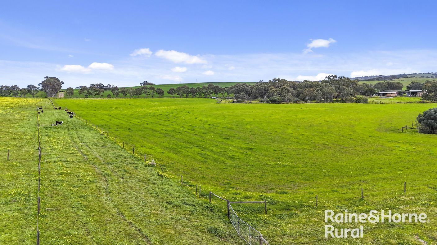 48 Mine Flat Road — photo 6 of 30